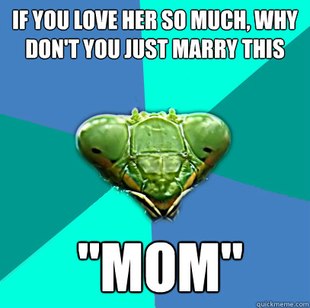 Crazy Girlfriend Praying Mantis