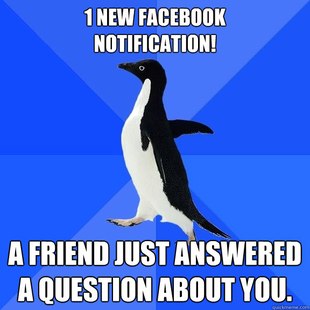 Socially Awkward Penguin