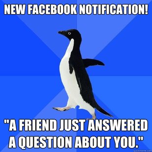Socially Awkward Penguin