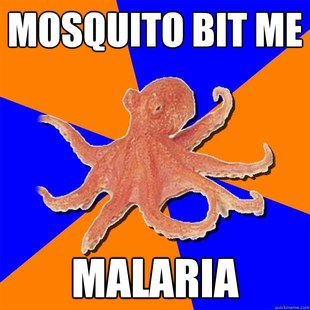 Online Diagnosis Octopus