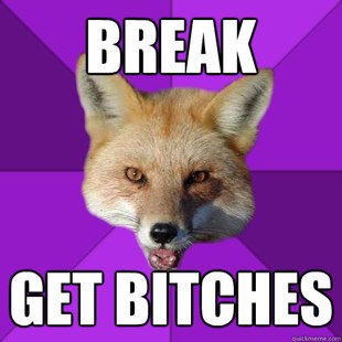 Forensics Fox