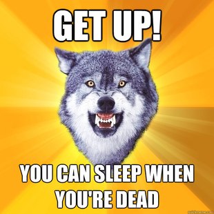 Courage Wolf