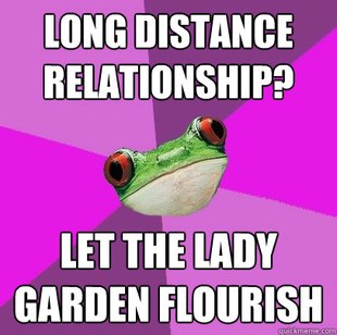 Foul Bachelorette Frog