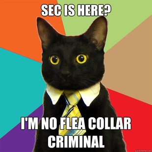 Business Cat