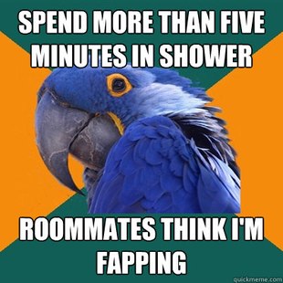 Paranoid Parrot
