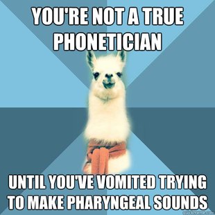 Linguist Llama