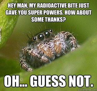 Misunderstood Spider