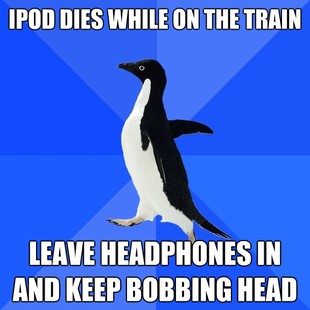 Socially Awkward Penguin