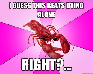 Long-term relationship Lobster