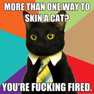 Business Cat