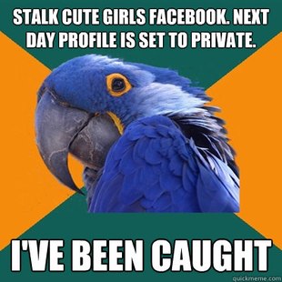 Paranoid Parrot