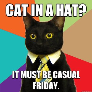 Business Cat