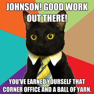 Business Cat