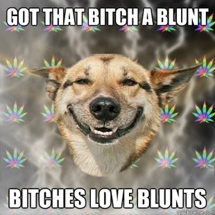 Stoner Dog