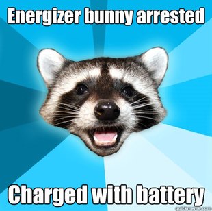 Lame Pun Coon