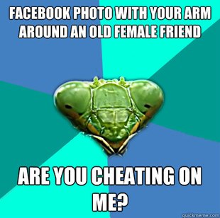 Crazy Girlfriend Praying Mantis