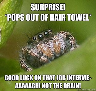 Misunderstood Spider