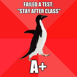 Socially Awesome Penguin